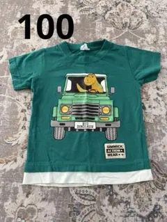 Item thumbnail for item 9fa4a8c0-ca4c-40b9-bdde-04c222989065