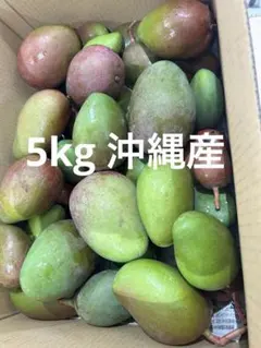 宮崎県産摘果マンゴー グリーンマンゴー10kg - メルカリ
