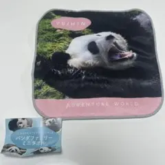 2026年最新】アドベンチャーワールド タオルの人気アイテム - メルカリ