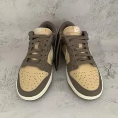 ナイキ ダンク LOW ネクスト ネイチャー 22.5cm