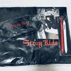 StrayKids dominATE vip ヨーロッパ 特典 グッズ セット