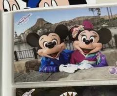 ディズニー　スペフォ 47