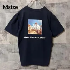 THE NORTH FACE Msize 半袖Tシャツ スクエアロゴ ネイビー