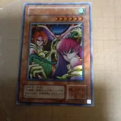 No.1204 遊戯王 良品 初期 ハーピィレディ三姉妹 シークレットレア No.1204 遊戯王 良品 初期 ハーピィレディ三姉妹 シークレットレア