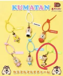 KUMATAN カラフルマルチチャーム ROBATAN 新品