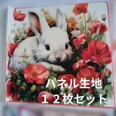 2026年最新】パネル生地 うさぎの人気アイテム - メルカリ