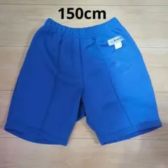 レッドスワロー 体操服 150cm 短パン パンツ