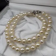 テリ良し✨️本真珠 パールネックレス シルバー Silver刻印 7~7.3mm