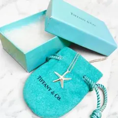 Tiffany シルバー925 スターフィッシュ ブレスレット【金木犀様専用