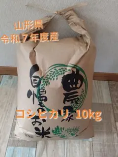 農薬完全不使用/植物発酵肥料コシヒカリ 玄米10kg - メルカリ