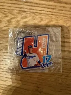ドラゴンズ17番柳裕也選手のキーホルダー