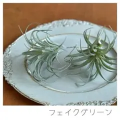 Saき様 リクエスト 3点 まとめ商品