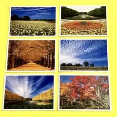 Item thumbnail for item 6163ed85-736b-4ade-a4dd-7a1ea2e30af6