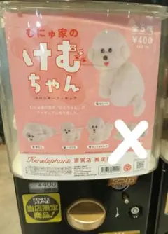 ケンエレ直営店限定　むにゅ家のけむちゃん フロッキーフィギュア　4種セット　新品