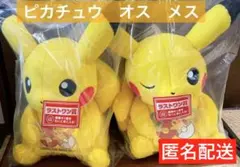 ポケモン 一番くじ vol.1 vol.2 ピカチュウ ラストワン ぬいぐるみ