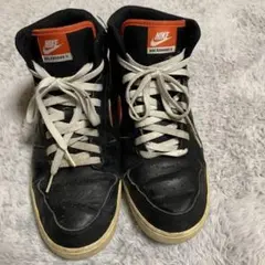 Item thumbnail for item 140bdd2d-9fd9-4f23-a402-382f4162dcdd