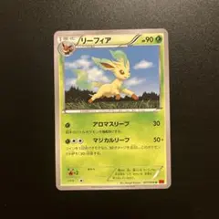 リーフィア U XY3 アンリミ