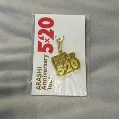 嵐 5×20 キーホルダー 緑