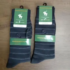 Item thumbnail for item 8039c65d-d235-4c1a-a642-d45b851af1b5