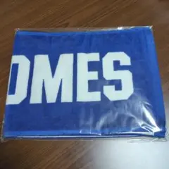 BURNOUT SYNDROMES ロゴタオル