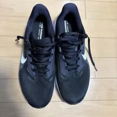 ナイキ　ペガサス41 27cm