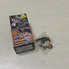新品未開封・匿名発送】 ハイキュー 繋ぐ グリッター缶バッジ 岩泉