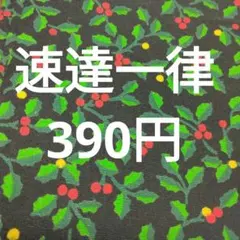 速達一律390円