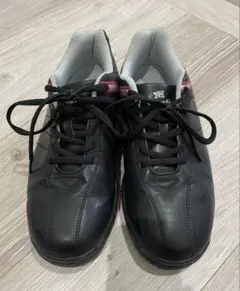 Item thumbnail for item d7a02aa4-ada4-4fd2-8693-728d09dc2f1d