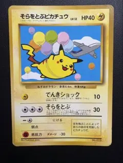 そらをとぶピカチュウ_ANA 「ジェットでゲットだ！Wチャンスキャンペーン」