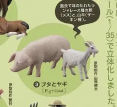 北海道サンゴー牧場にようこそ！ブタとヤギ1/35ミニチュアフィギュア海洋堂ガチャのサムネイル