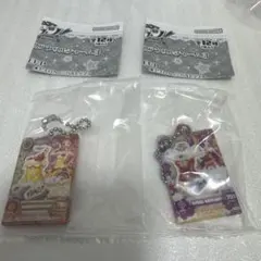 アイカツ だれでもアイドル活動アクリルチャーム3 ガチャガチャ　おとめ　美月