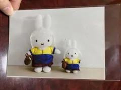 2026年最新】フェルメール ミッフィーの人気アイテム - メルカリ