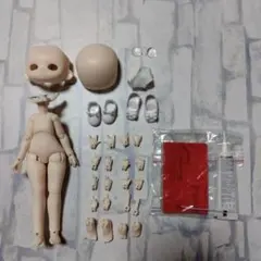 糖指数100% ボディ③　クラファン特典付き