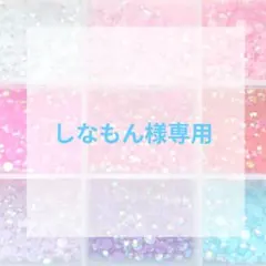 しなもん様専用ページ