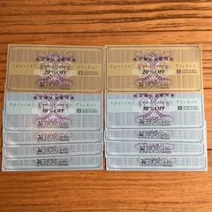 ゼビオ株主優待券 20%OFF2枚、10%OFF8枚のセット