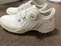 Callaway BOA ゴルフシューズ ホワイト ダイヤル式 26キャロウェイ