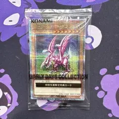 遊戯王 ホーリー・ナイト・ドラゴン 初回生産限定特典カード 未開封