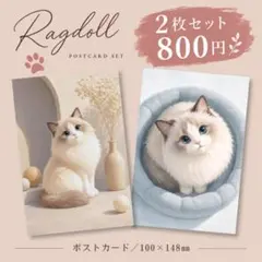 ラグドール 2枚セット｜猫 アートポストカード・インテリア