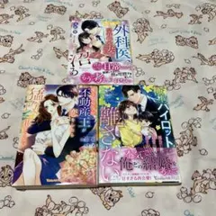 TL小説 ヴァニラ文庫ミエル　３冊
