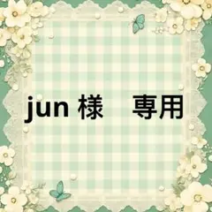 jun 様　專用