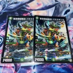 革命類侵略目パラスキング