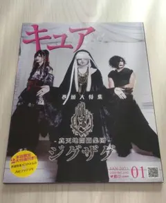 真天地開闢集団ジグザグ　CureVol.208 トレカ付き