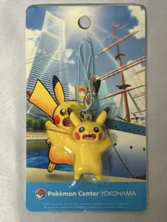 新品未開封 ポケパークカントー オープン記念 限定マグネット - メルカリ