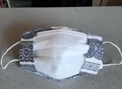 不織布マスクが見えるマスクカバー