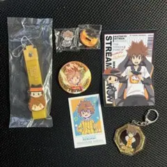 沢田 綱吉 スーツの歩み 缶バッジ 家庭教師ヒットマンREBORN