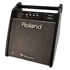 2026年最新】ROLAND PM-10の人気アイテム - メルカリ