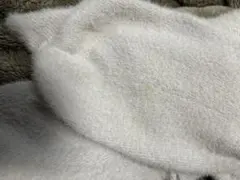 (確認用)
