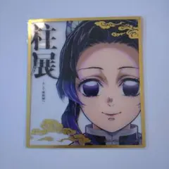 2026年最新】胡蝶し 色紙の人気アイテム - メルカリ