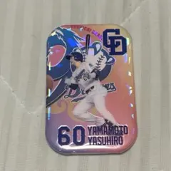 中日ドラゴンズ 山本泰寛　レア缶バッジ