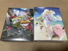 コレクションファイル（リーリエ・Ｎ）